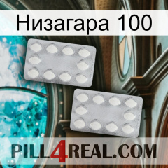 Низагара 100 17